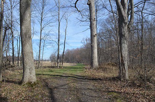 Property photo 122 - REAL ESTATE & PERSONAL PROPERTY AUCTION, 140 Acres offered in 8 Tracts or Combinations in Steuben County